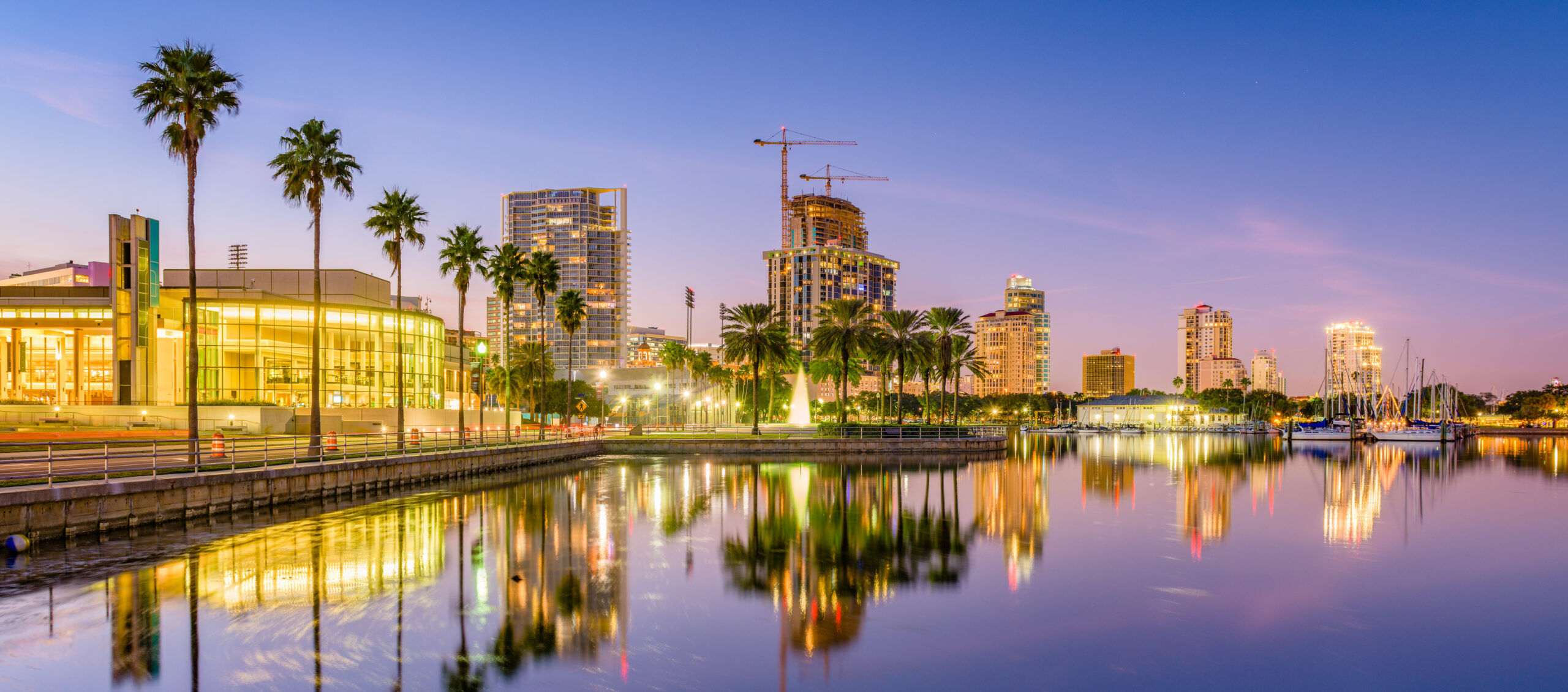 endodontist St. Petersburg FL