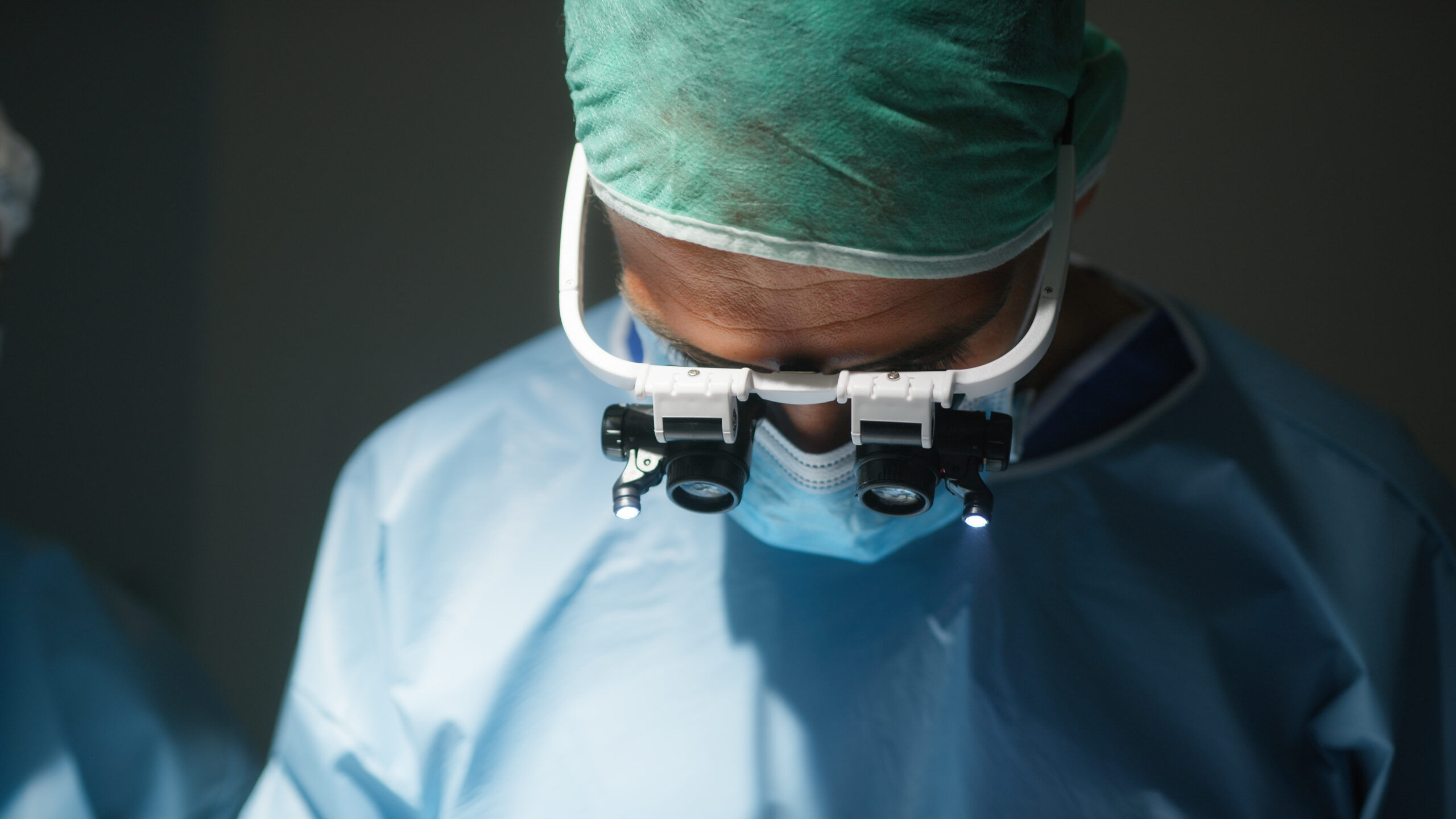 endodontist St. Petersburg