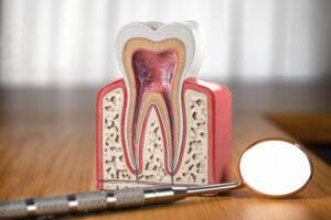 Endodontist in St. Petersburg